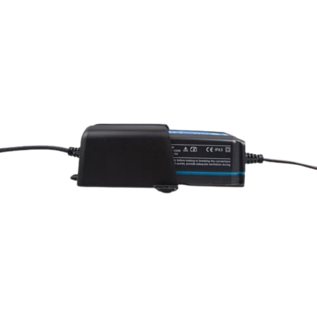 Wall Mount for Blue Smart IP65 Charger 12/10, 12/15, 24/8